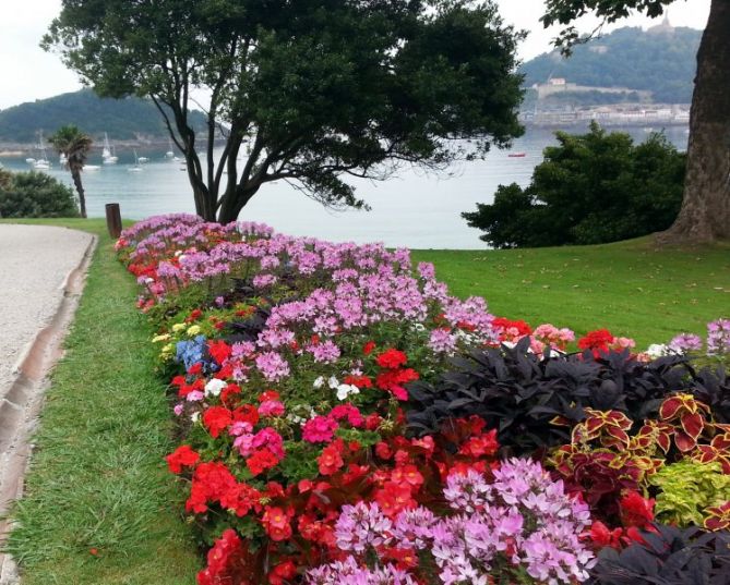 Vista desde el palacio de Miramar: foto en Donostia-San Sebastián