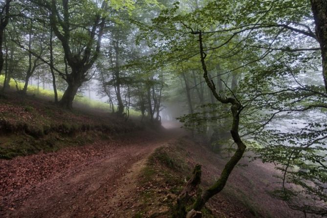 La vuelta a Uli: foto en Berastegi