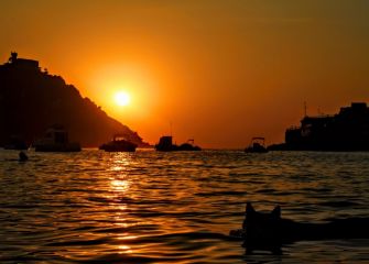 Yaki disfrutando del atardecer