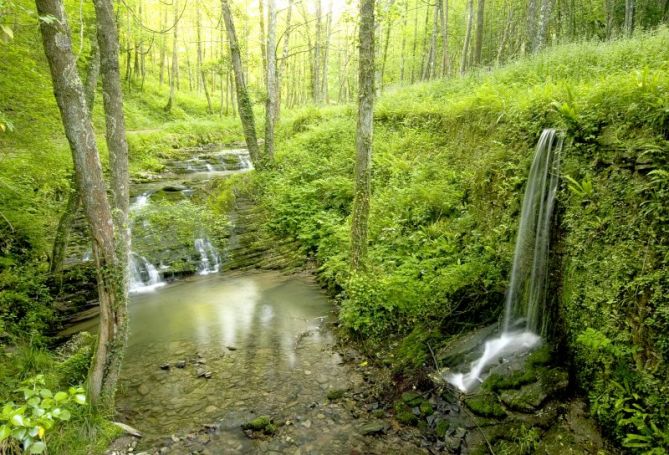 Altxerri erreka en Agorregi: foto en Aia