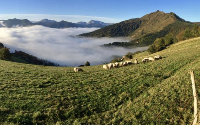 Bajo la niebla : foto en Eibar