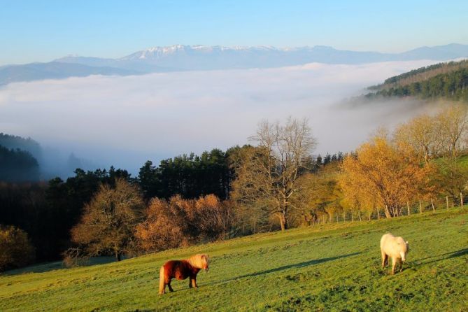 Encima de las nieblas: foto en Gaintza