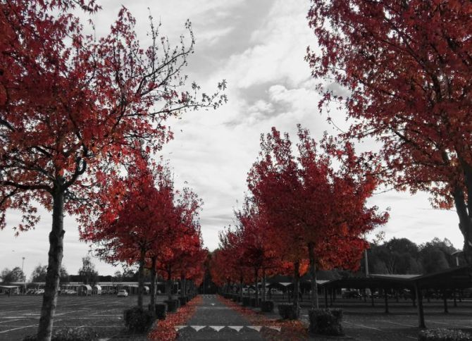 otoño: foto en Irun