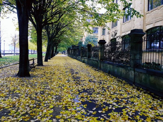 Otoño: foto en Donostia-San Sebastián