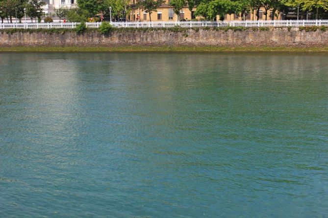 Protagonista el río: foto en Donostia-San Sebastián