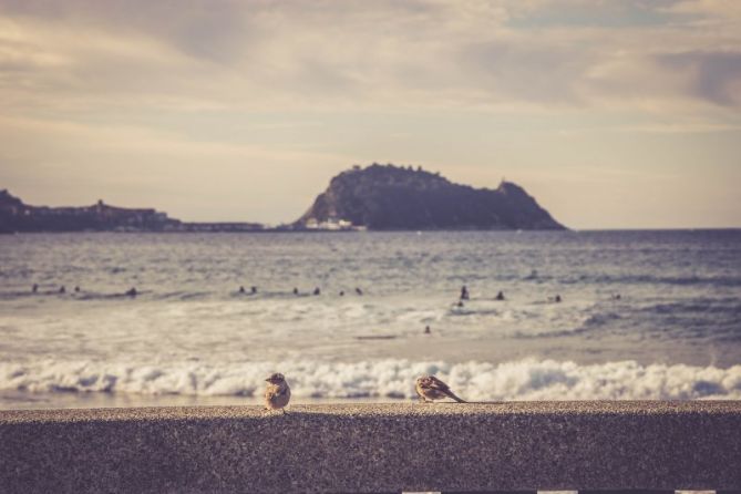 A salvo: foto en Zarautz