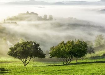 SOBRE LA NIEBLA