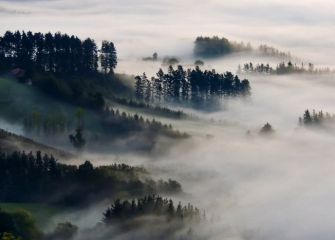 Sobre la niebla