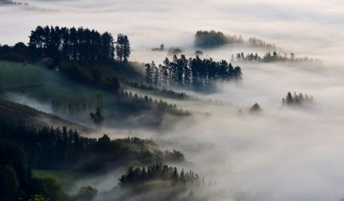 Sobre la niebla: foto en Elgeta