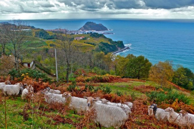 Udazkena Getaian : foto en Getaria