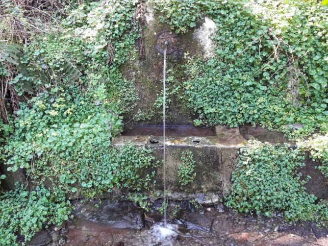 Agua: foto en Eibar