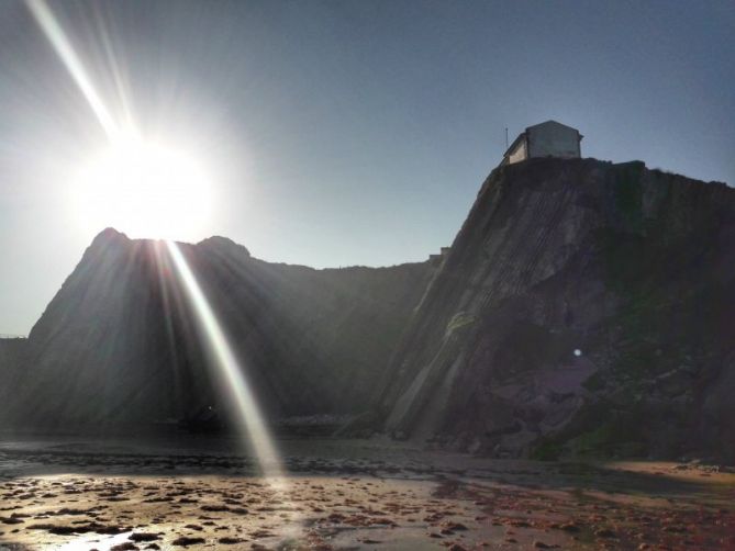 Algas: foto en Zumaia