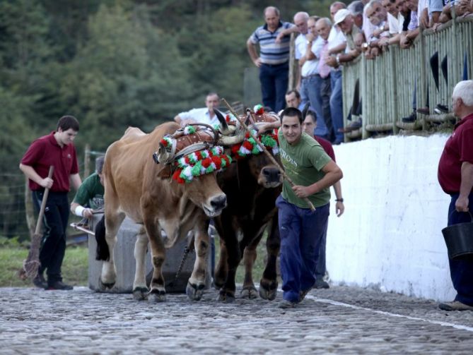 Arrastre: foto en Eibar