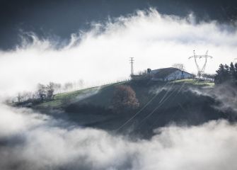 Asomando entre la niebla