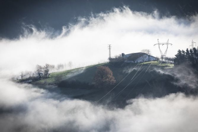 Asomando entre la niebla: foto en Olaberria