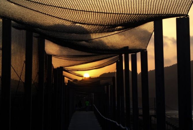 Atardecer enredado: foto en Zarautz