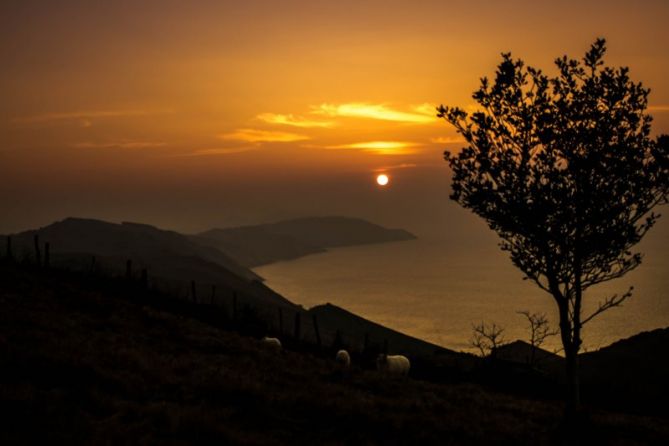 Atardecer de lana: foto en Lezo