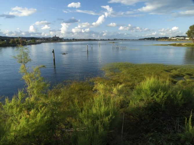 bahia de txingudi: foto en Irun