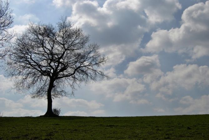 Bakardadea: foto en Irun