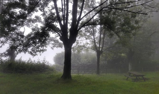 Banco de niebla: foto en Eibar