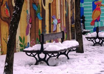 Bancos nevados en el parque tropical