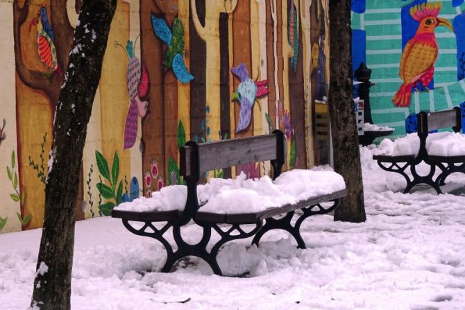 Bancos nevados en el parque tropical: foto en Urnieta