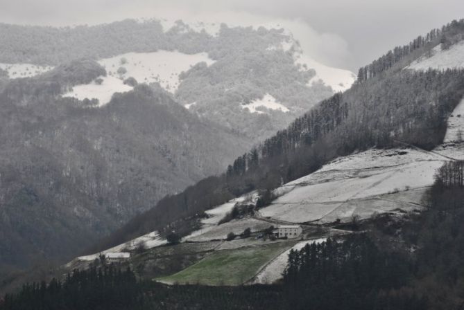 Berdegune bat / Una zona verde: foto en Asteasu