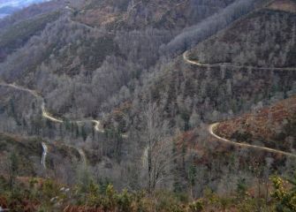 Bideak / Caminos