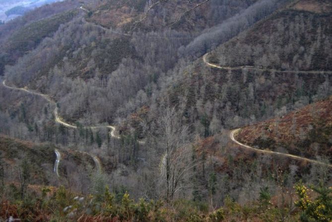 Bideak / Caminos: foto en Oiartzun