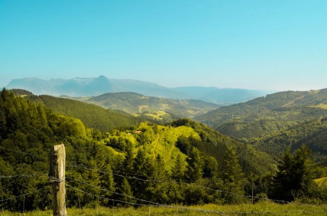 Birika berdeak: foto en Albiztur