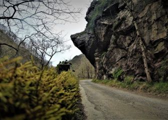 Bisera  Valle leitzaran (Andoain)