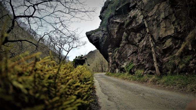 Bisera  Valle leitzaran (Andoain): foto en Andoain