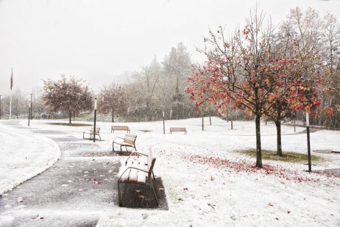 Blanco Otoño: foto en Arama