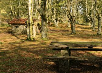 EL BOSQUE EN OTOÑO