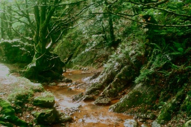 Bosques de hadas: foto en Ataun