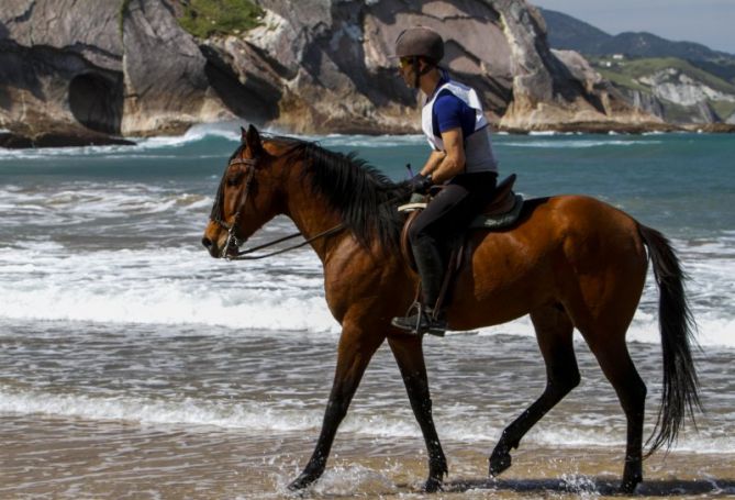 Caballo en Itzurun: foto en Zumaia