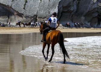 Caballos en la playa