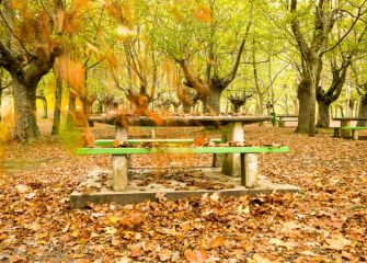 La caída de las hojas 