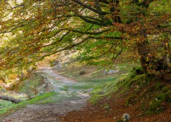 CALZADA DE SAN ADRIAN