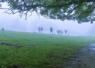 Caminando entre la niebla 