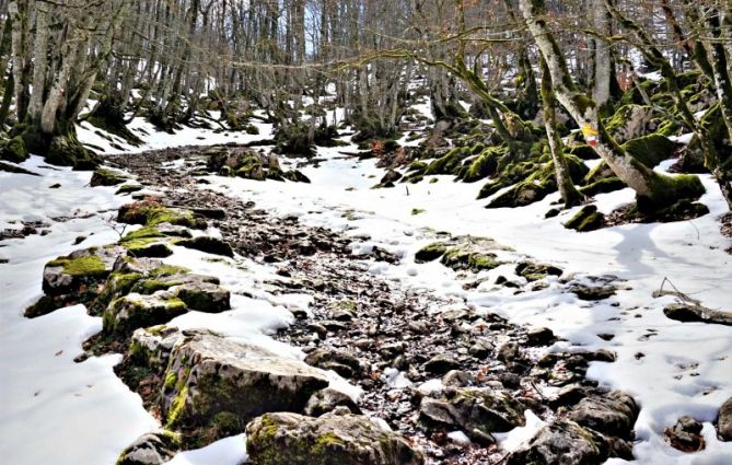 camino aitzgorri: foto en Zegama