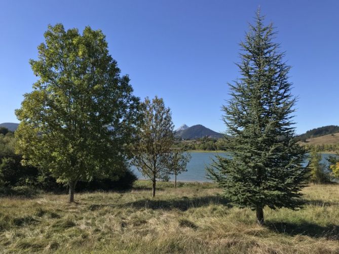 Camino al pantano: foto en Aretxabaleta