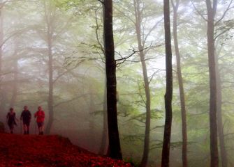 camino al túnel de San Adrián-2