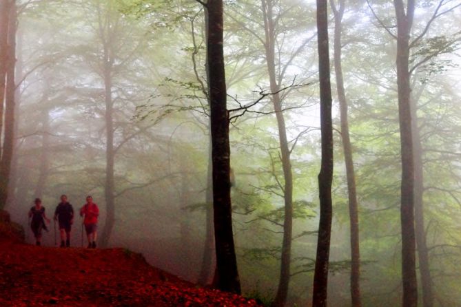 camino al túnel de San Adrián-2: foto en Zegama