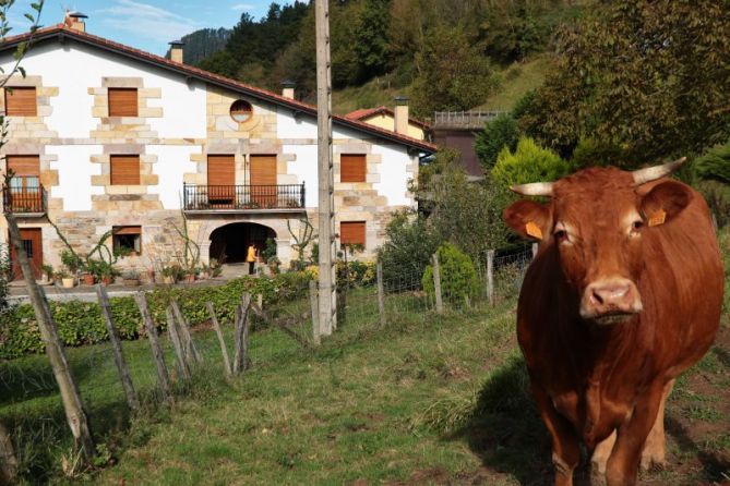 EN EL CASERÍO: foto en Antzuola