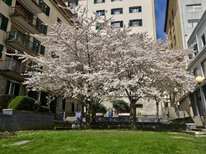 De color: foto en Eibar