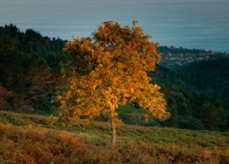 Coloreando con luces
