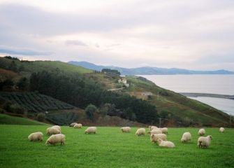 Contemplando la naturaleza