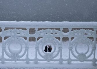 Contenplando la nevada