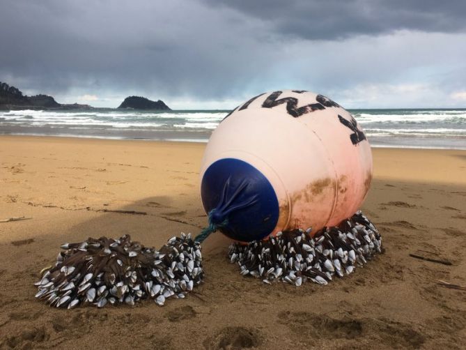 Cosas de la mar : foto en Zarautz